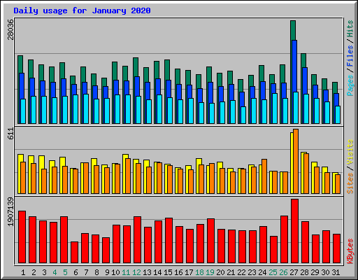 Daily usage for January 2020