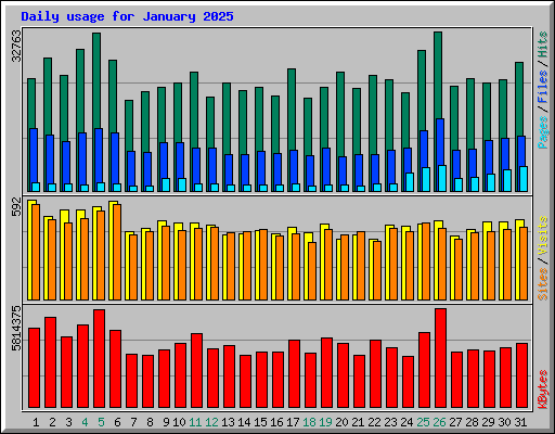 Daily usage for January 2025