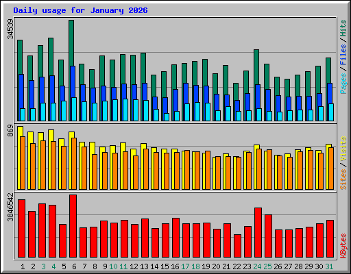 Daily usage for January 2026