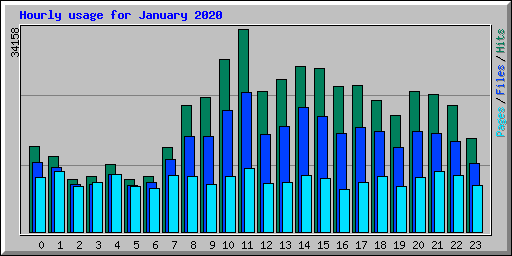 Hourly usage for January 2020