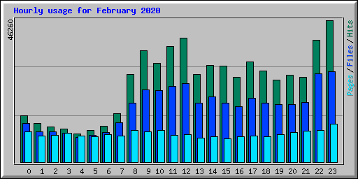 Hourly usage for February 2020