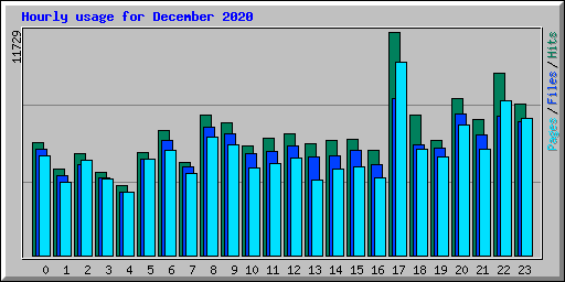 Hourly usage for December 2020