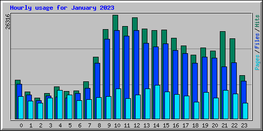 Hourly usage for January 2023