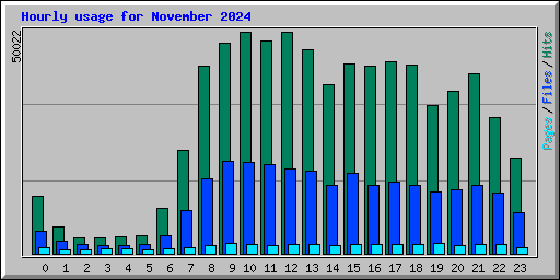 Hourly usage for November 2024