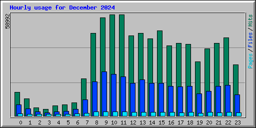 Hourly usage for December 2024