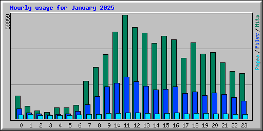 Hourly usage for January 2025
