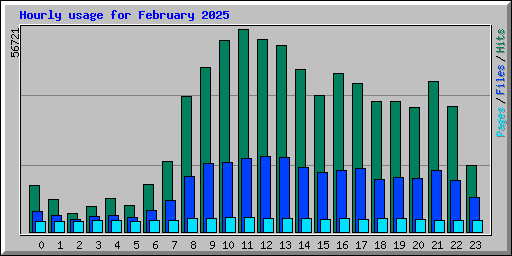 Hourly usage for February 2025