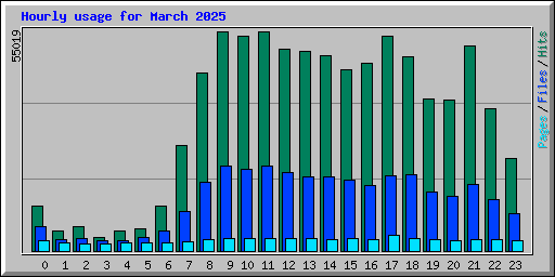 Hourly usage for March 2025
