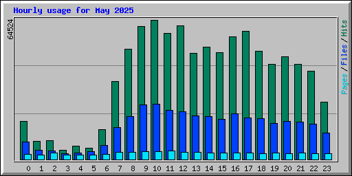 Hourly usage for May 2025