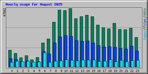 Hourly usage for August 2025