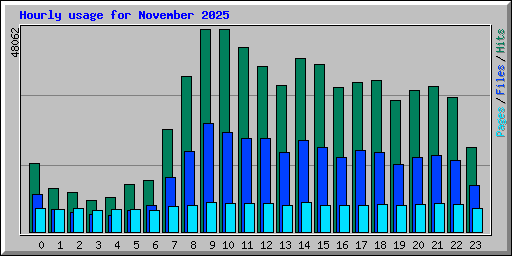 Hourly usage for November 2025