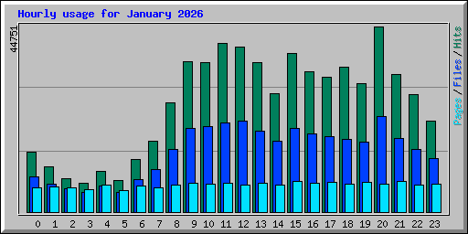 Hourly usage for January 2026